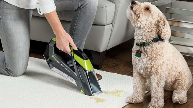 If you have fabric seats, the Bissell Pet Stain Eraser is one of the best tools out there for removing stubborn stains.